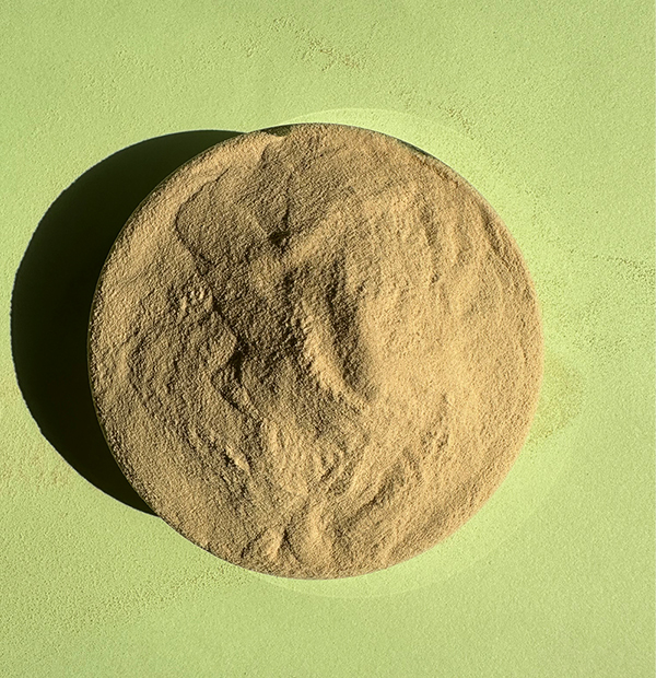Protein Gypsum Retarder Powder