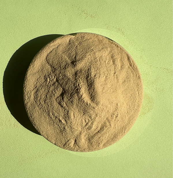 Retardador de gesso proteico em pó